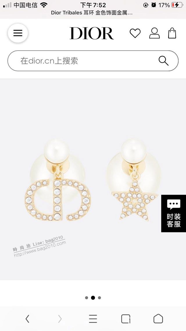 Dior飾品 2021新款DIOR迪奧字母耳釘耳環  zgd1198